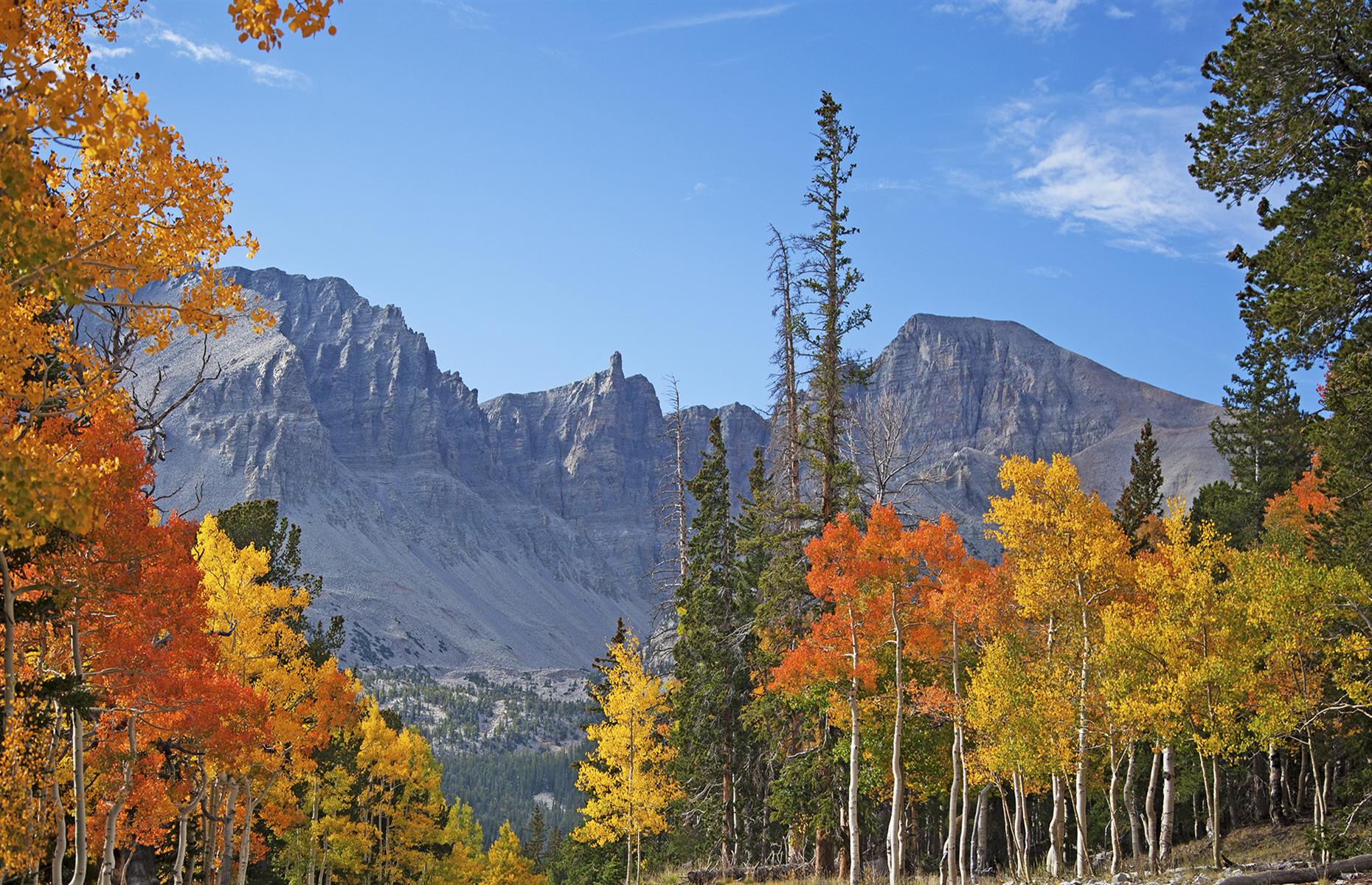 Great Basin National Park, Nevada 